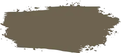 Vector Background Image
